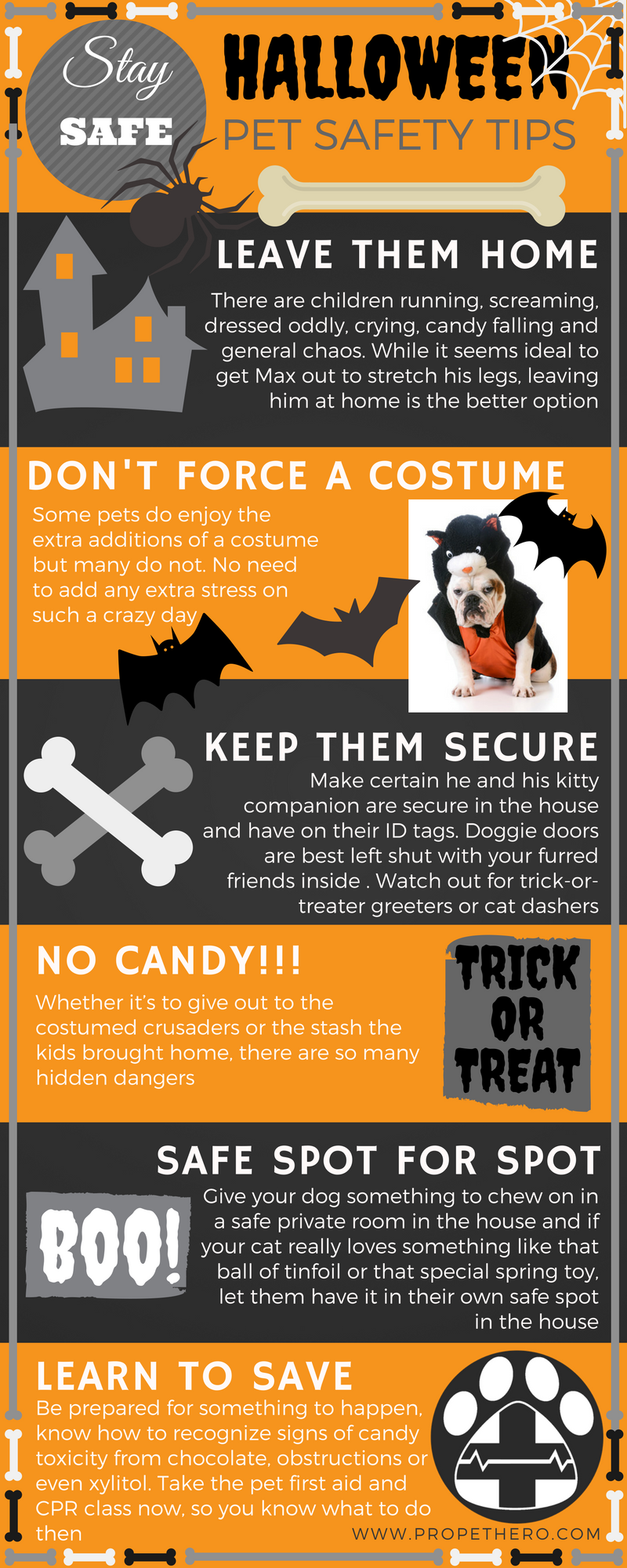 Halloween Pet Safety Tips Visual Ly Halloween Safety - vrogue.co